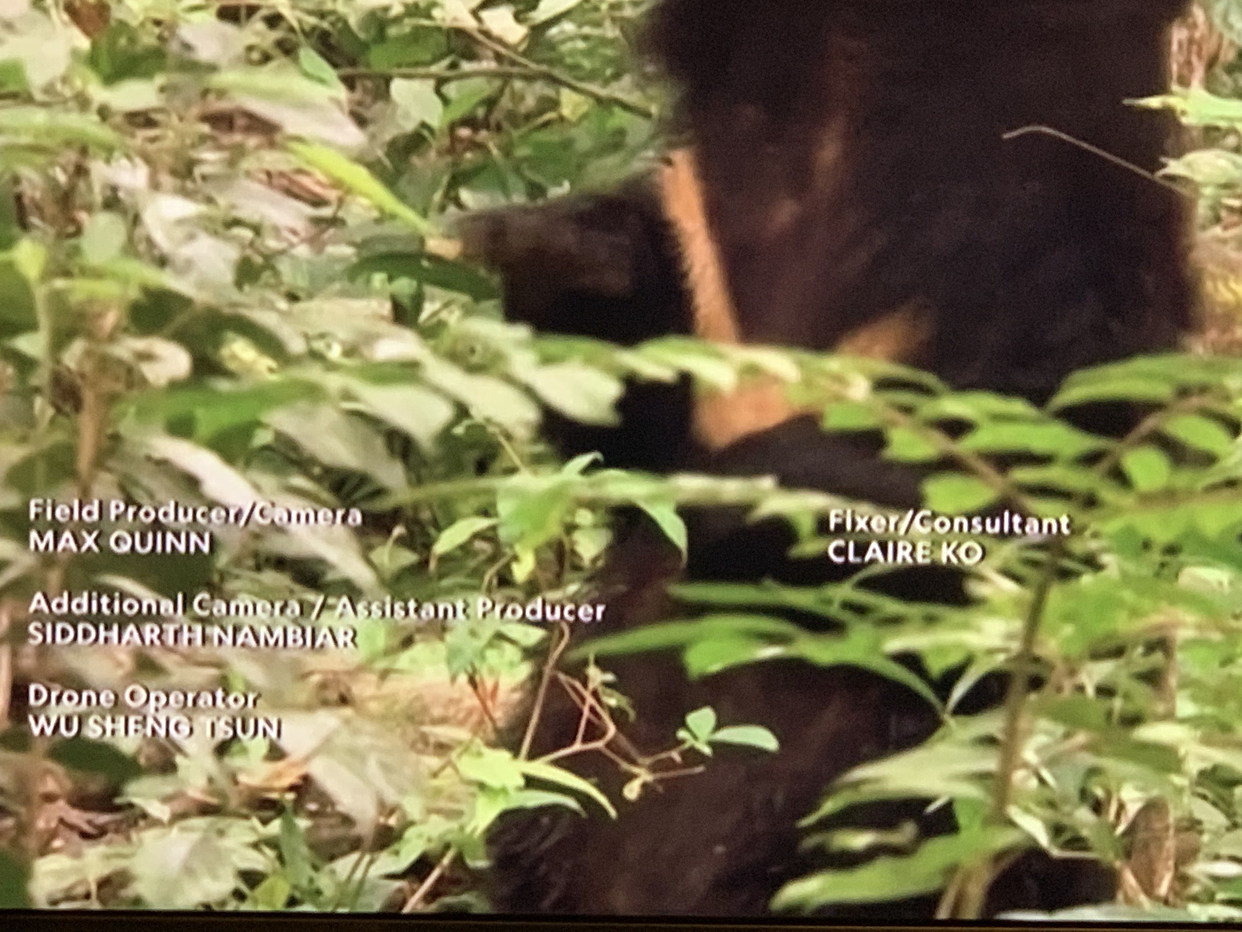 iwM5f80uTti+lfzhCq3s0w