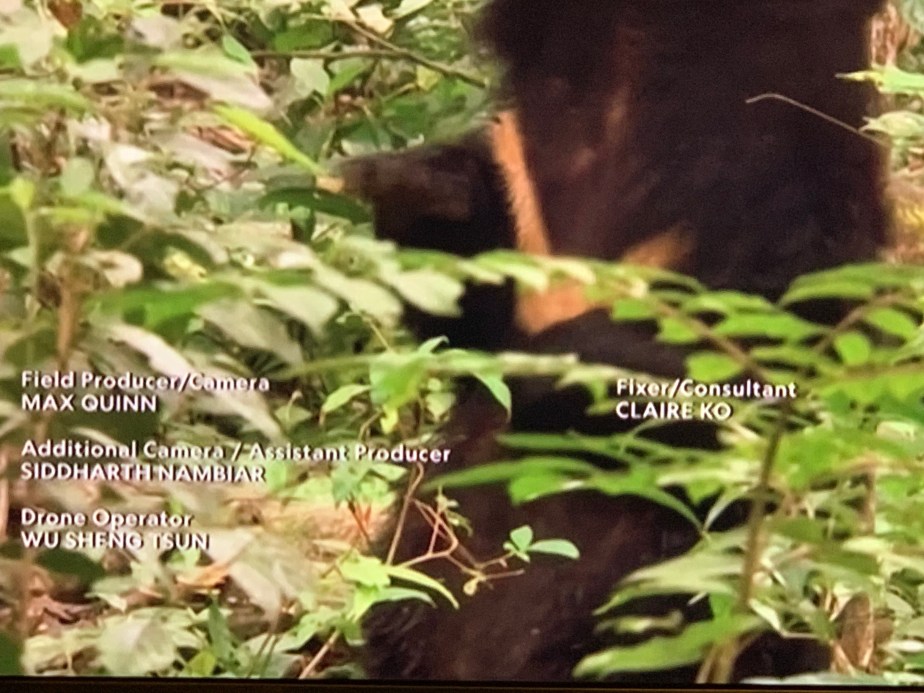 iwM5f80uTti+lfzhCq3s0w