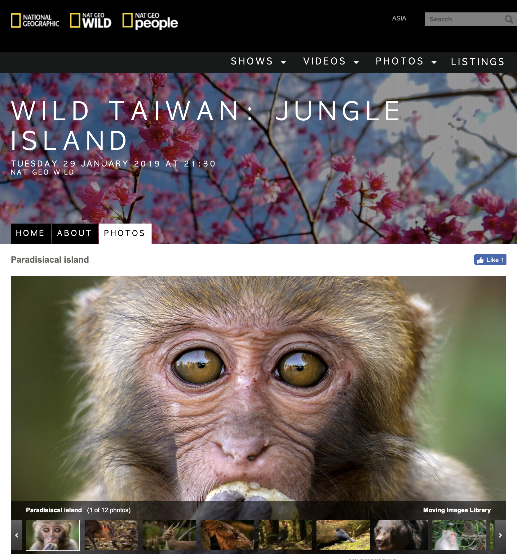 screen shot 2019-01-28 at 12.04.03 pm