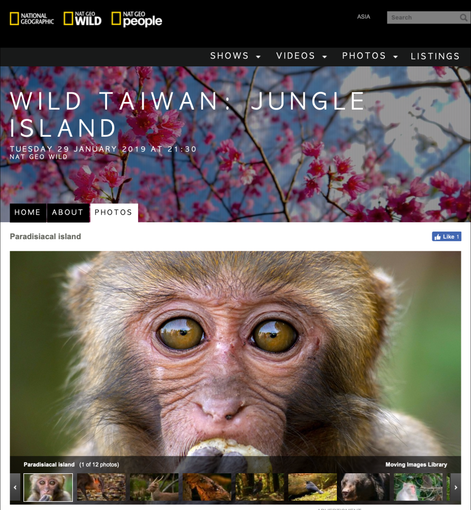 screen shot 2019-01-28 at 12.04.03 pm